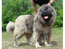 ����������� 012.jpg