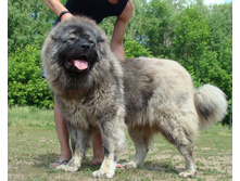 ����������� 013.jpg