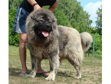 ����������� 015.jpg