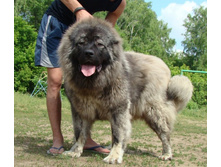 ����������� 016.jpg