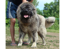 ����������� 017.jpg