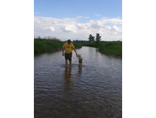 �������� �� �����