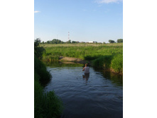 ������� ������� ����� ���� ������