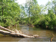 ����� ������ ���������