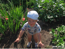 �, ����� � ��� �������� ����