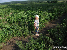 ���, �� �� ���� ��������?