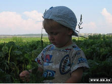 ������ �������� ������