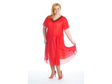 ������ ����� �������