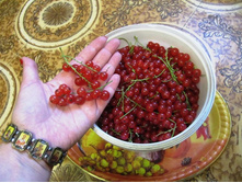 ������� ���������- ������