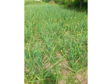 ������- ��������������� ����� ��������� ����� ����� �� ��� ��������))))