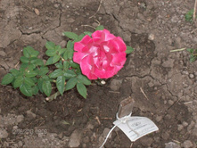 ������� 12�� 1.jpg