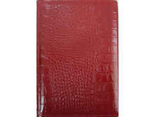 411 ����������.jpg