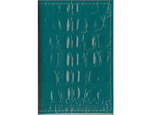 172� ���������