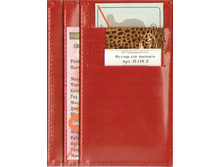 �118� ������ ��� ��������.jpg