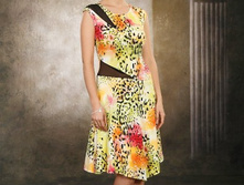 ������	KL 2449