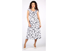 ������	8156 