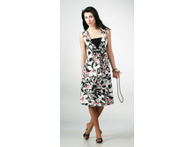 ������	8036