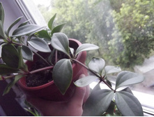 ����������� 041.jpg