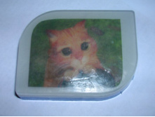 ���� � ��������� (����� ������� ����� �������)