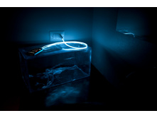 ���.����