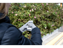 ���.����