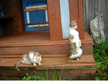 ������� ����!