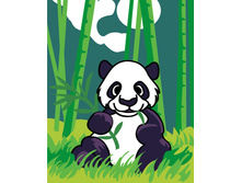 CA176/�����