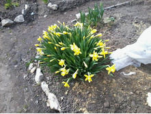 ������� ������ ������