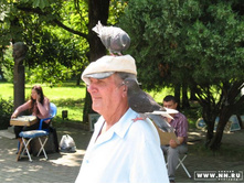 ��� � ��������