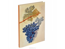 ��������. ������� 270�.jpg