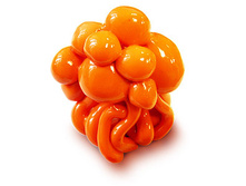 "������ ��������" 149,00�.