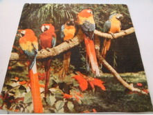 ����:  230.00 ���/��.