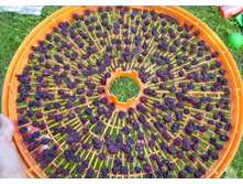 �8 ����� �����.jpg