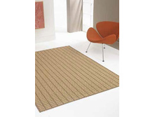 ���� ��� �����������