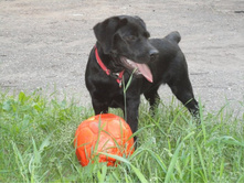 �������� ������.JPG