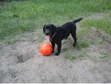 ���� ���� �������.JPG