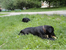 ������� �� ����.JPG