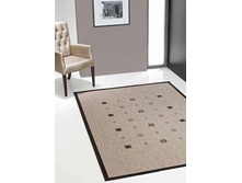 ���� ��� �����������