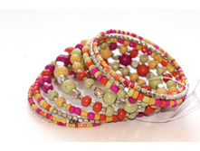 ����:  120.00 ���/��.