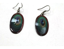 ����:  50.00 ���/��.