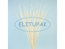 84322 ������� �� ����� �� ������ ����� 80 �� (40) 353p.jpg