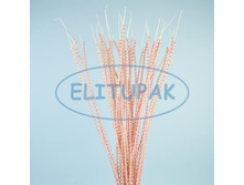 84322 ������� �� ����� �� ������ ������� 80 �� (40) 353p.jpg