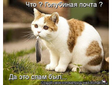 ��� ���� ���!