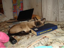 ����������