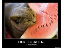 ������ ���� ... � �������