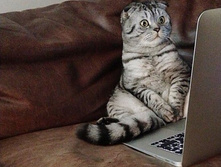 ��� ���?