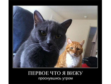 .... ������ ��� � ���� ����������� ������