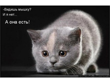 ... � ��� ����!