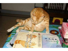 ���-�� ��� �� �� ������ �������� ...