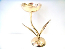 ����:   350.00 ���/��.